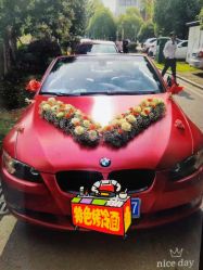 -蚂蚁婚车