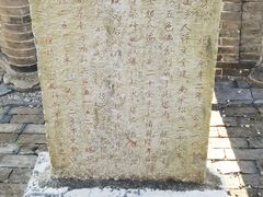 -上海佘山国家森林公园天马山园