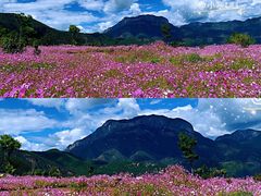 -丽江泸沽湖景区