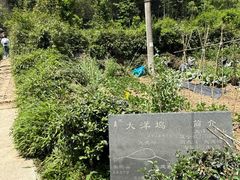 -午潮山国家森林公园