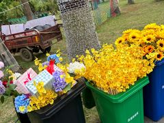 -南宁花花大世界景区