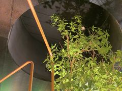 -长江路历史文化街区