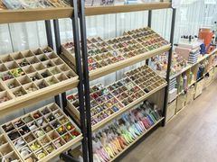 -南汇新城城市公园