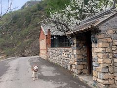 -北京山里寒舍度假酒店