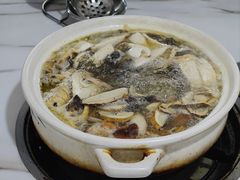 -蘑统田下·野生菌火锅