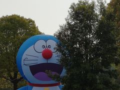 -金岛生态园烧烤露营地