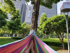 -重庆市江北嘴中央商务区中央公园