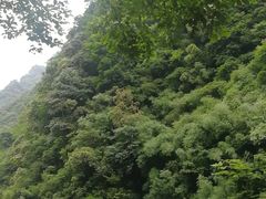 -神龙峡风景区