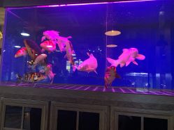 -青木造型HAIR·あおき髪を刈る潮人店