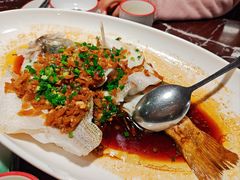 -新白鹿餐厅(龙游路店)
