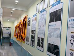 -天宠宠物医院24小时·急重症诊疗中心·全科·腔镜特色(和平分院)