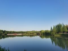-宜兴龙背山森林公园