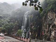 -陕西省红河谷森林公园