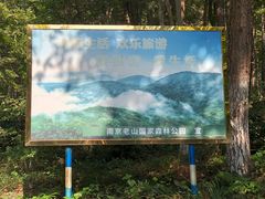 -老山国家森林公园