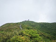 -大围山国家森林公园