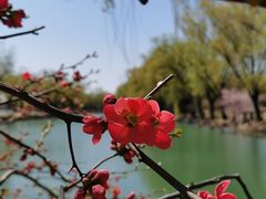 -颐和园