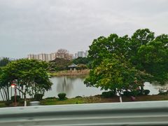 -鹤之洲湿地公园