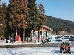 -武陵山森林公园