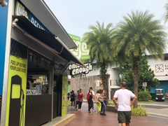 -圣淘沙天际线斜坡滑车