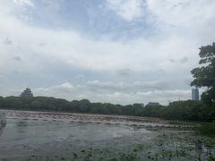 -金鸡湖桃花岛