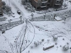 -精粉世家(汉街总部国际A座店)