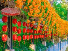 -桃花涧