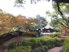 -申粤轩酒楼·三十年粤菜经典(丁香花园店)