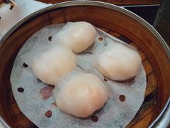 虾饺-周记点心(西环店)