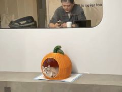 -Cappucimeow猫咪咖啡馆(韦伯时代店)