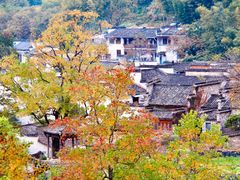 -塔川景区