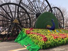 -呀路古热带植物园