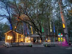 -枫花园汽车电影院(朝阳公园店)