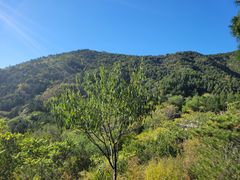 -北京十三陵国家森林公园蟒山景区