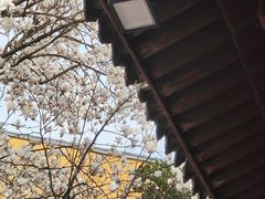 -龙华寺