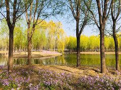 -东郊湿地公园
