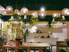 -柴务处·柴犬主题狗咖