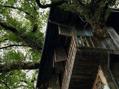 -古堰画乡景区