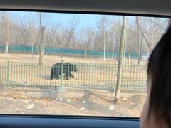 -秦皇岛野生动物园