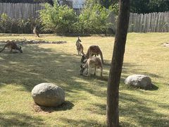 -泉州海丝野生动物世界