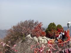 -秦岭终南山世界地质公园翠华山景区