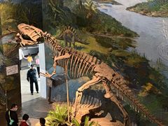 -自贡恐龙博物馆