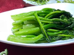 -万柳阁小馆·花园餐厅(龙潭湖店)
