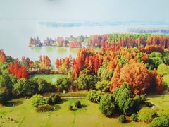 -东湖落雁景区