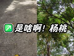 -珠海圆明新园