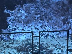 -贵州省地质博物馆