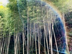 -林坑古村落