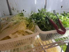 -金鼎雪山牦牛杂火锅(理县总店)