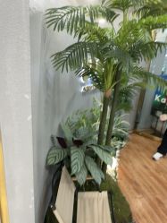 -八佰伴8008星级形象店