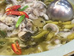 -周正水煮活鱼·吊水鱼(万科店)