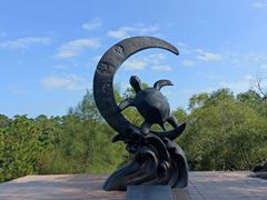 -广东惠东海龟国家级自然保护区